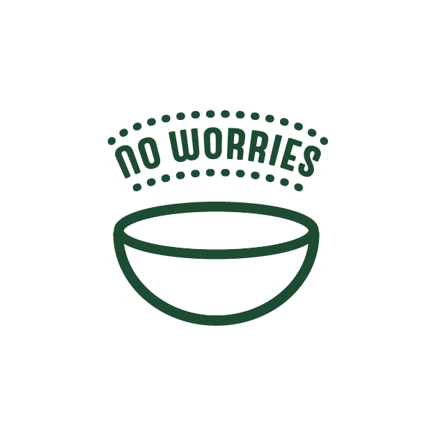 no worries noodle bowl