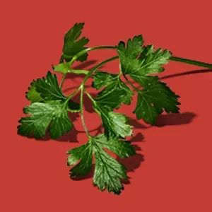 Parsley