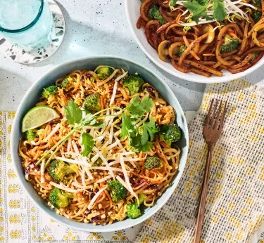 Tabletop image of Indonesian peanut chicken sauté with Japanese pan noodles and a carafe of peanuts and a fork