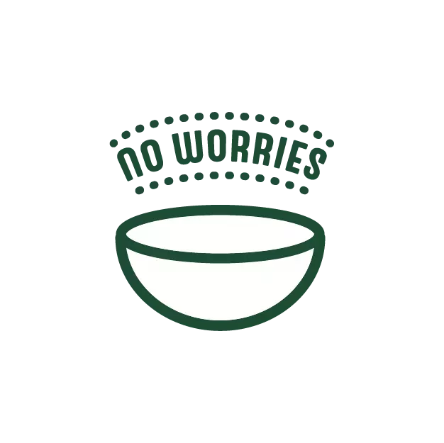 no worries noodle bowl